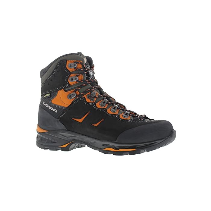 Camino GTX FreeFlex Hiking Boot,Black 