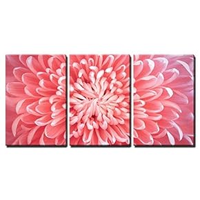 3 Piece Canvas Wall Art - Flower - Modern Home Art Stretched and Framed Ready to Hang - 16"x24"x3 Panels