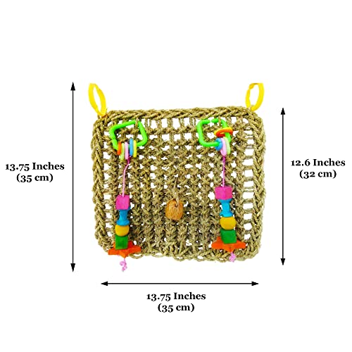 SunGrow Bird, Small Animals & Rabbit Foraging Wall Chew Toy with