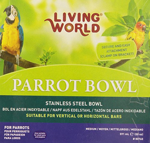 Living World Stainless Steel bowl, 20-Ounce