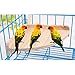 Pomeat Bird Perch Platform, Wooden Small Animals Platform Bird Perch Stand for Pet Parrot Bird Parakeet Cockatielsthumb 3
