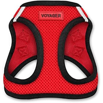 Voyager Step-In Air Dog Harness - All Weather Mesh, Step In Vest Harness for Small and Medium Dogs by Best Pet Supplies - Red Base, Medium (Chest: 16