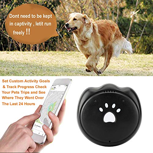 Jason Zeng Pet GPS Satellite Tracker & Activity Monitor Intelligent 5-Level Positioning System, No Subscription Fee IP67 Depth Waterproof Dog & Rare Animal Searcher Locator Trajectory Tracking Alarm