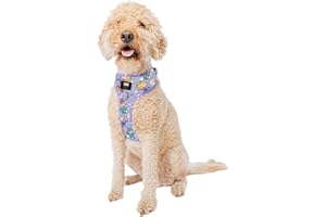 Sassy Woof Dog Adjustable Harness - Nickelodeon Rugrats™ - L, Breathable Mesh, No Pull Design with Two D-Rings, Patented Design, Ideal for Large Dogs - Officially Licensed