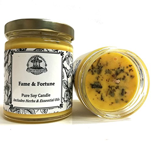 Fame & Fortune 8 oz Soy Spell Candle Beauty, Notoriety, Wealth, Success & Adoration (Hoodoo Voodoo Wiccan Pagan Magick)
