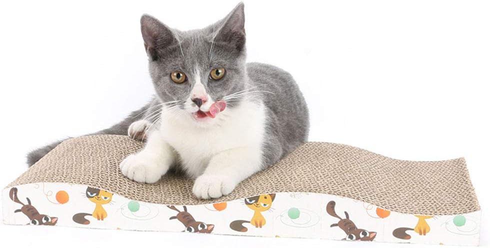 ol roy complete nutrition recall