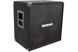 Seismic Audio - 310 Bass Guitar Speaker Cabinet PA DJ 750 Watts 3x10 3 10