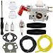 Panari 753-06288 Carburetor with Adjustment Tool Air Filter for MTD Remington RM430 Blower Troy-Bilt TB225 TB2MB TB430 TB35EC TB2040XP TB2044XP Murray M2560 MS2550 MS2560 String Trimmer Weedeater primary