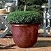 Round Moonstone Planter, Red, 12-Inch