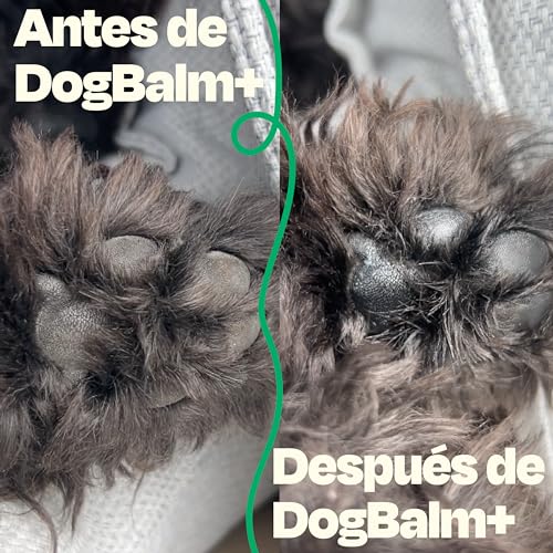 Dogelthy Dog Balm. Balsamo Hidratante para Perros. Balsamo para Perros para Mantiener la Piel, Patas y Nariz Libre de Resequedad. Pet Balm Hecho de Aceite de Coco, Almendra y más de 50g (Tarro)