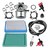 Panari Carburetor + Tune Up Kit Air Filter Spark Plug for Briggs and Stratton 799868 498170 497586 497314 698444 498254 497347 497410 496115