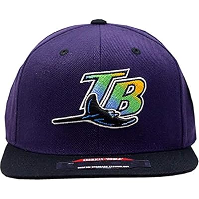 devil rays snapback