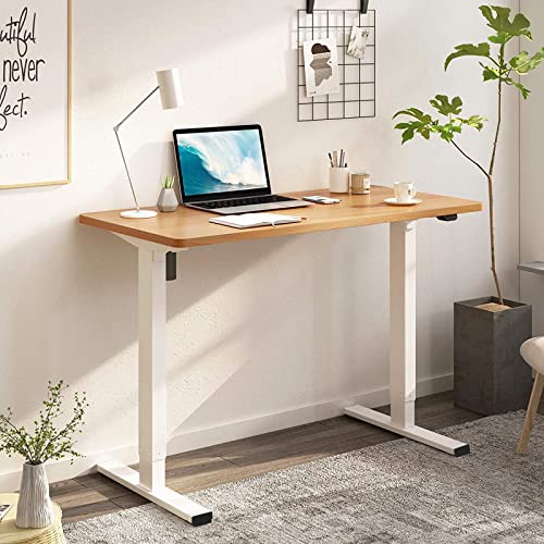 FLEXISPOT Adjustable Height Desk 40 x 24 Inches Whole Piece Small