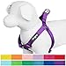 Blueberry Pet Essentials Step-in Dog Harness, Large Size | Adjustable Dark Orchid Vest | Classic Solid Nylon for Boy & Girl Dogs, Chest Girth 26