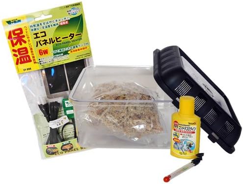 Amazon カエル初めてカエル5点 Aセット オリジナル 飼育ケース ケージ 通販