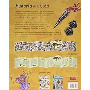 Historia de la vida: Evolución