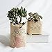 YOURNELO Crude Pottery Cute Animal Plant Flower Pot Succulent Planters Vase (Cat 1)