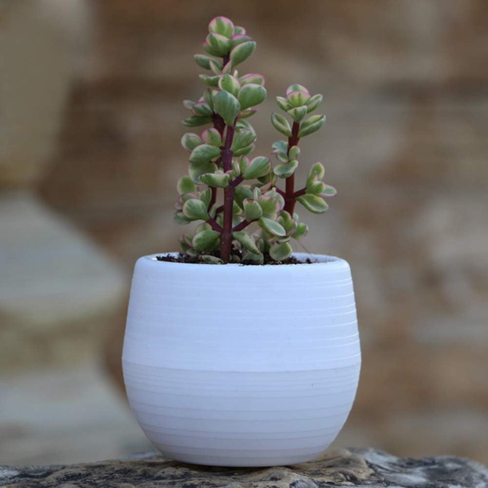 Amazon Com 1pcs 2 7inch Mini Plant Flower Pot Round Plastic