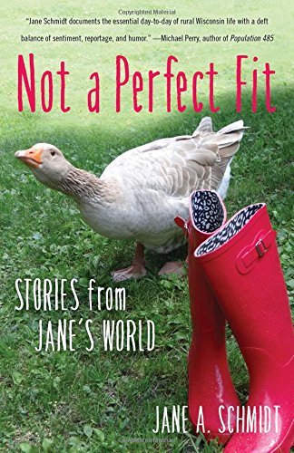 Not a Perfect Fit: Stories from Jane's World by Jane A. Schmidt