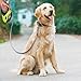 Retractable Dog Leash Extendable for Small Medium Large Dogs One Button Break & Lock Easy Control-Extends up to 5 Meters Up to 110 lbs by Pecute