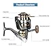 WATERFLY Fishing Spinning Reel, Lightweight Smooth Powerful Spinning Reel for Left & Right Hand Salt & Fresh Water Fishing