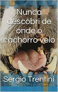 Nunca descobri de onde o cachorro veio