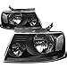 Auto Dynasty Headlight Assembly Factory Style Compatible with F150, Black Housing, Pair