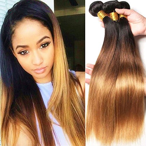 Hairitory Hair 8A Grade 100% Virgin Brazilian Straight Human Hair Wave Ombre Color 3 Bundles Remy Black to Honey Blonde Hair Wave 300g(20 22 24,1b/4/27)