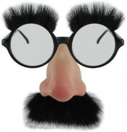 funny nose glasses