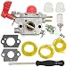 TOPEMAI BVM200FE Carburetor for Craftsman 545081857 Zama C1U-W43 Poulan Gas Blower primary