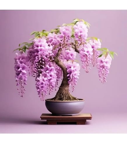 ceramic indoor plant pots Wavy Disk Ceramic Planter