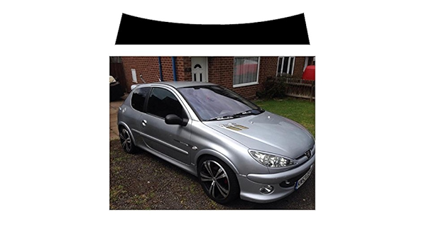 Amazon.es: Pre Cut sunstrip para Peugeot 206, no requiere ...