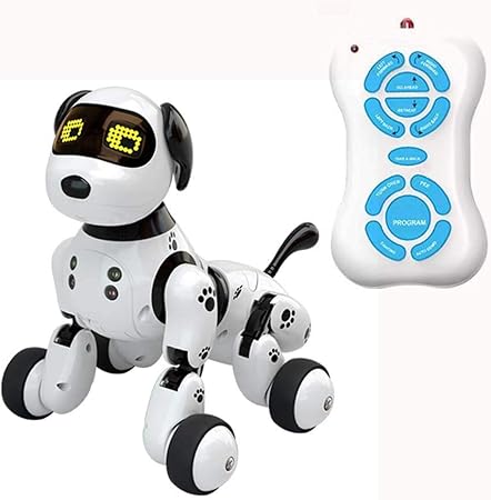 remote control dog toy