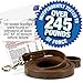 Logical Leather 6 Foot Dog Leash - Best for Training - Best Water Resistant Heavy Full Grain Leather Lead - Brown