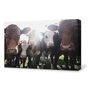 for Living Room Bedroom Home Artwork Paintings Cow