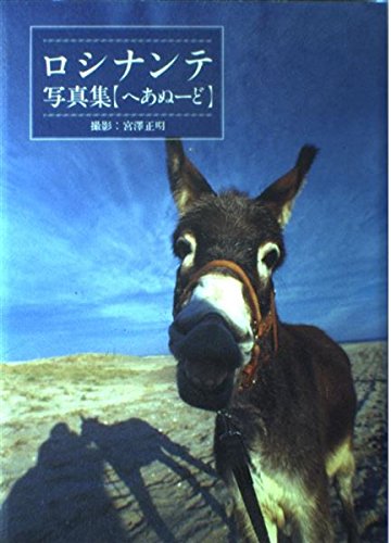 へあぬーど ロシナンテ写真集 Amazon Com Books