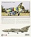 Mikoyan-Gurevitch MiG-21 Fishbed (1955-2010)