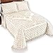 Collections Etc Royalty Elegant Scroll and Checkered Pattern Chenille Bedspread with Fringe Border, Ivory, Queen