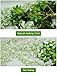 Hotsaleglobal 12 Pcs Artificial Silk Wisteria Vine Rattan Hanging Flower for Wedding Party Home Decor(White)