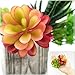 ZALALOVA 16Packs Artificial Succulent Plants，Fake Succulents Assorted Faux Succulent in Different Green Textured Faux Succulent Pick Hanging String of Pearls Plant for Arrangement Home Decoration