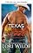Livro Calor do Texas (Terra dos cowboys Livro 2)