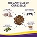 Wellness Complete Health Natural Grain Free Dry Puppy Food, Chicken & Salmon, 4-Pound Bag