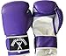 Physical Success Purple Boxing Gloves 12oz