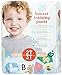 Honest Training Pants, Animal Abcs, 2T-3T, 26 Count