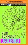 Jailbird: A Novel