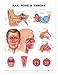 Ear, Nose and Throat Anatomical Chart