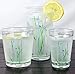 Corelle Coordinates by Reston Lloyd Shadow Iris Acrylic Rock Glasses, 14-Ounce, Set of 6