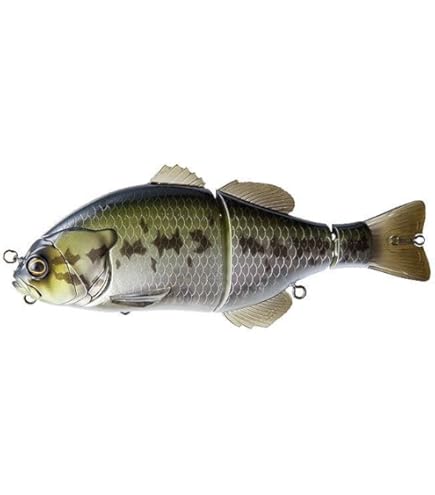 Amazon.com: JACKALL Jackar Flick Shake, 4.8-Inch, Acamsi, 8