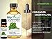 BioFinest Coriander Oil - 100% Pure Coriander Essential Oil - Premium Organic - Therapeutic Grade - Best For Aromatherapy - Food Enhancer - Promote Lower Blood Pressure - FREE E-Book (10ml)
