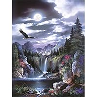 5D Diamond Painting Kits Full Drill Diamond Embroidery feilin Flying Eagle Cross Stitch Rhinestone Arts Craft for Canvas Wall Decor 45x30cm